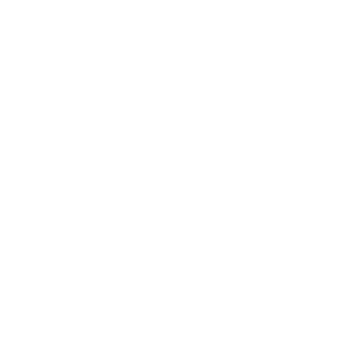 TravIT